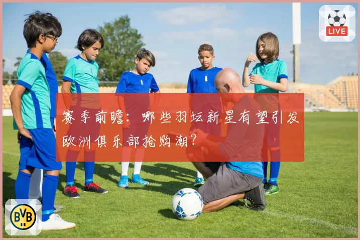 赛季前瞻：哪些羽坛新星有望引发欧洲俱乐部抢购潮？