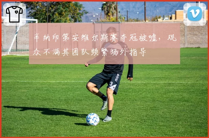 辛纳印第安维尔斯赛夺冠被嘘，观众不满其团队频繁场外指导